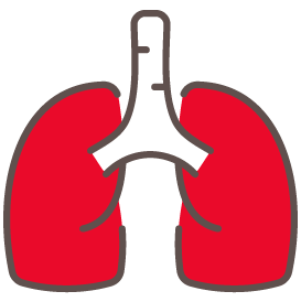 lungs