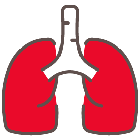 lungs