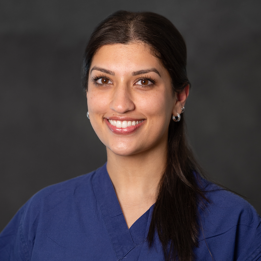 Lily Bahmanyar