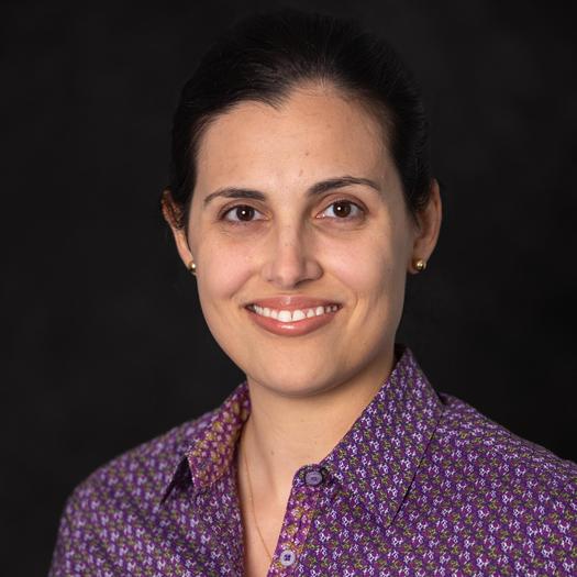 Ligia Chanock