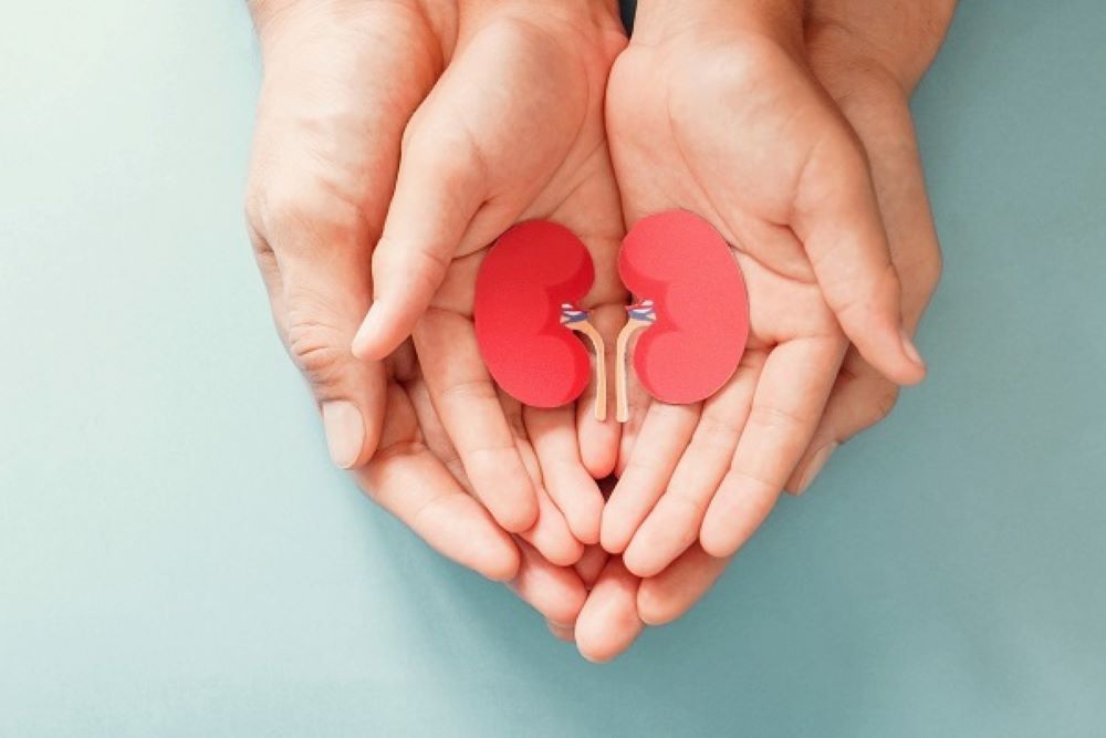 Hands and kidneys