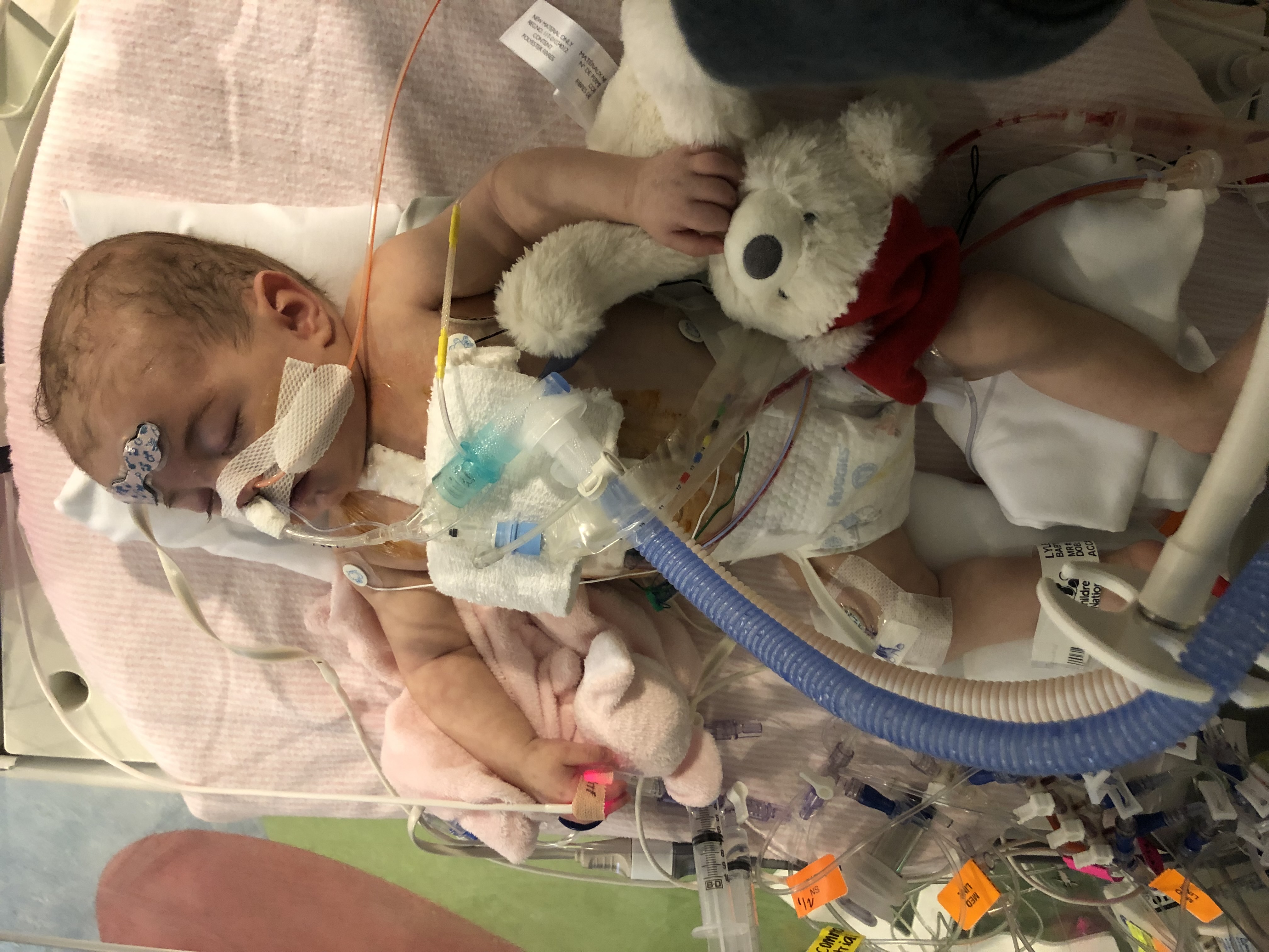 Cayden as a baby, connected to life-supporting tubes.