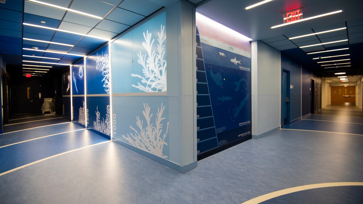 Radiology suite