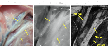 research imaging