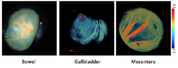 research imaging