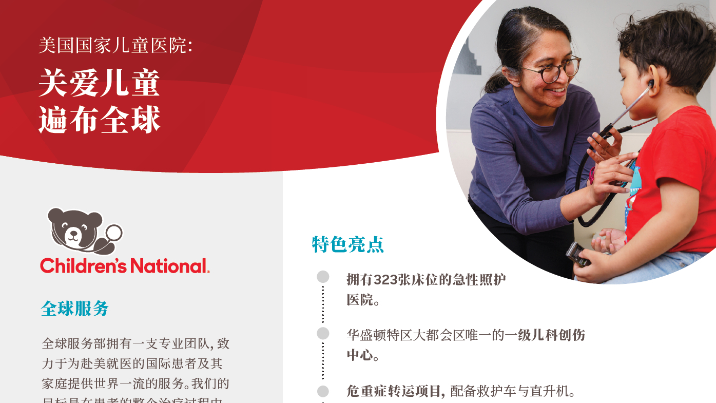 At a Glance PDF in Chinese