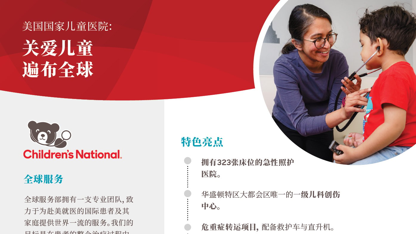At a Glance PDF in Chinese