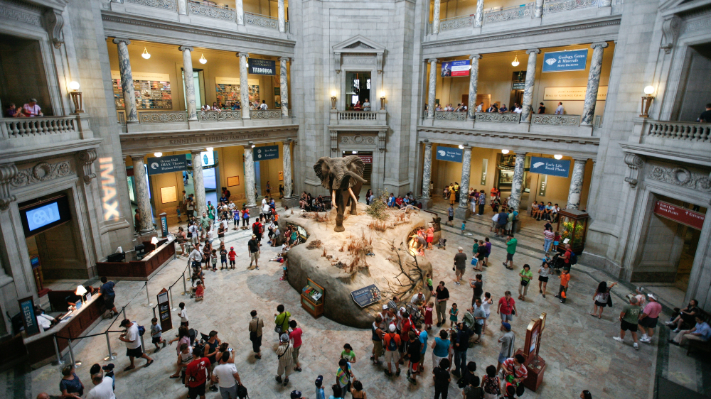 Smithsonian Museum